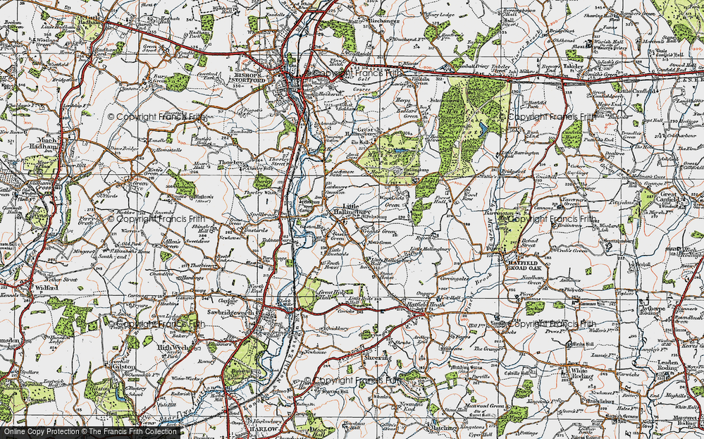 Old Map of Little Hallingbury, 1919 in 1919
