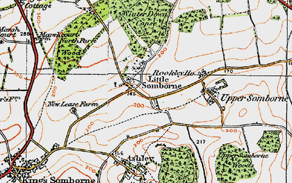 Old map of Winter Down Copse in 1919