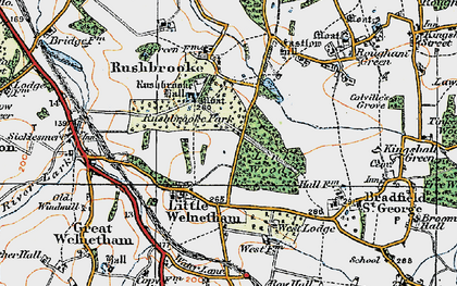 Old map of Link Wood in 1921
