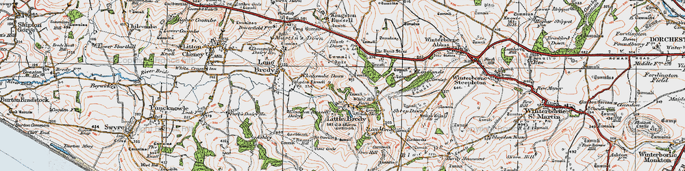 Old map of Littlebredy in 1919