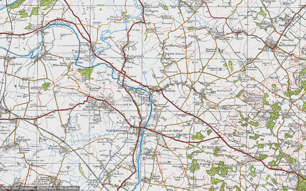 Old Map of Littleworth, 1919 in 1919