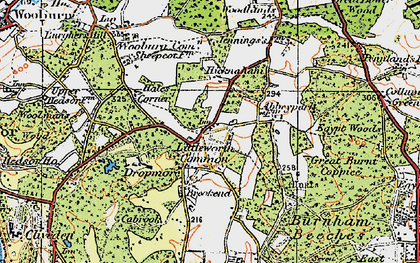 Old map of Littleworth Common in 1920