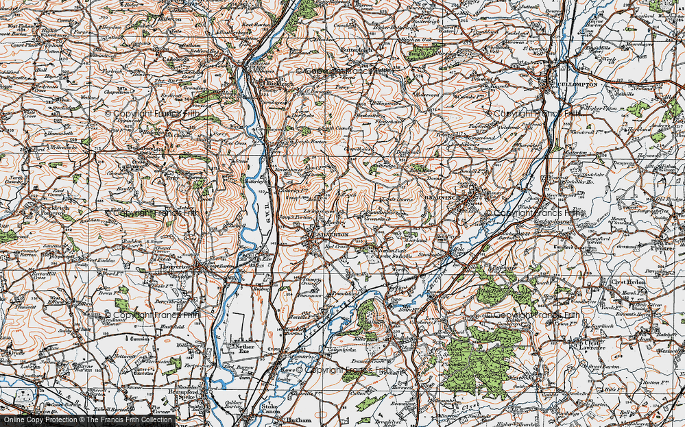 In 1919