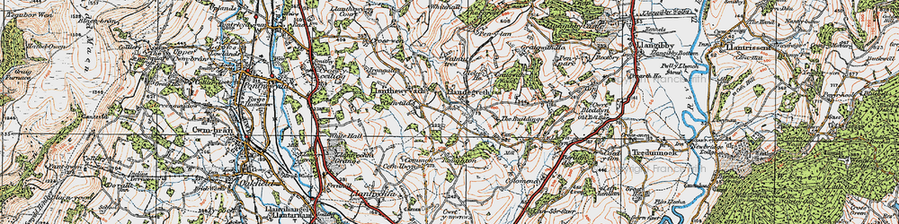 Old map of Llanddewi Fach in 1919