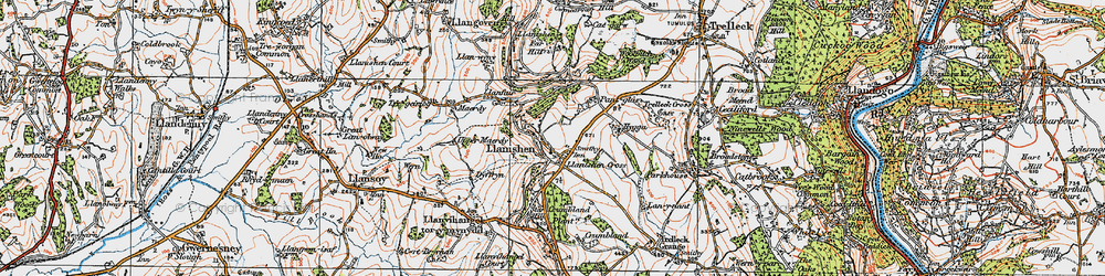 Old map of Woolpitch Wood in 1919