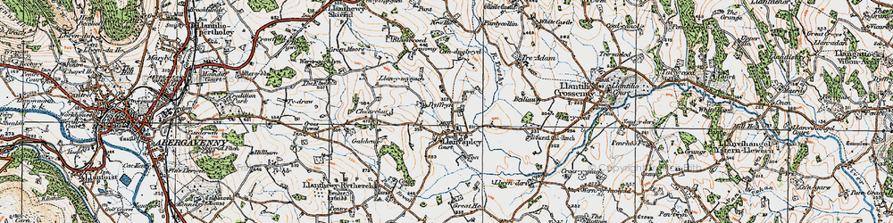 Old map of Llanvapley in 1919