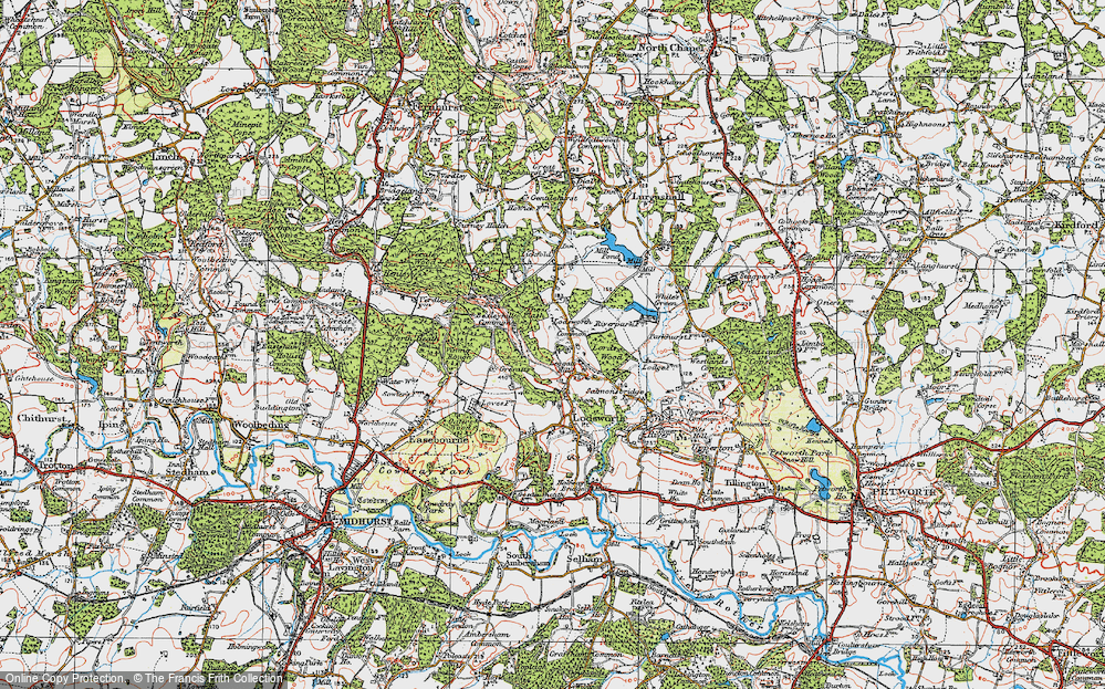 Lodsworth Common, 1920