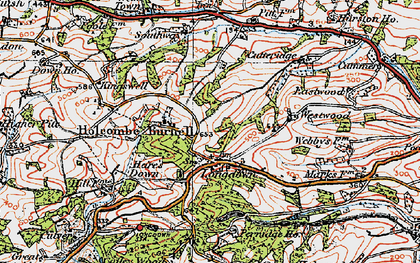 Old map of Longdown in 1919