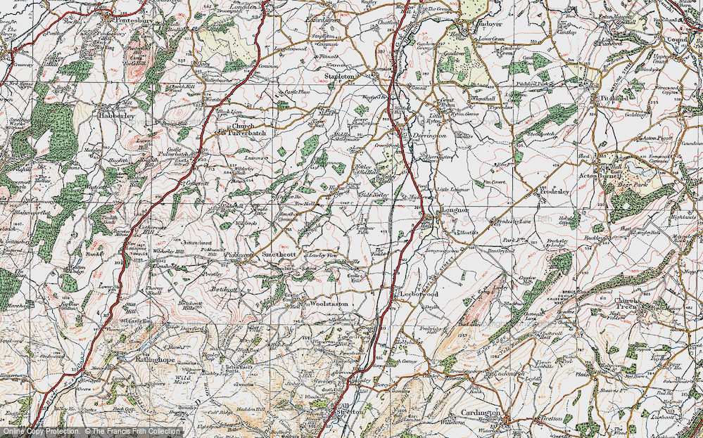 In 1921