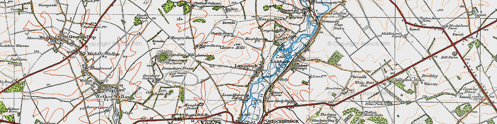 Old map of Longstock in 1919