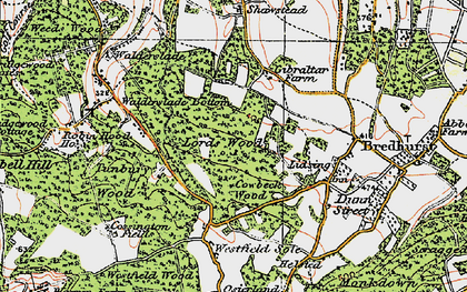 Old map of Lords Wood in 1921