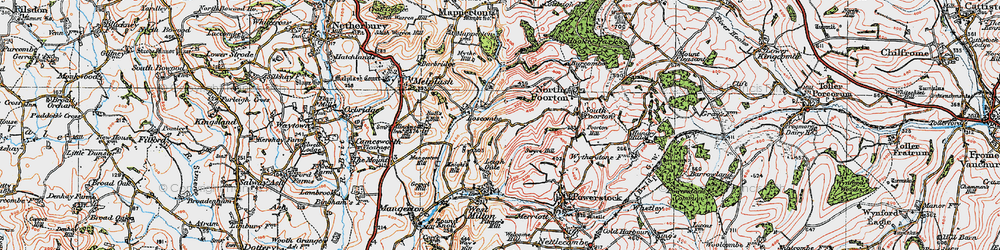 Old map of Loscombe in 1919