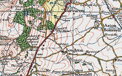 Old map of Loughton in 1921