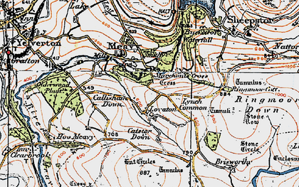 Old map of Brisworthy in 1919