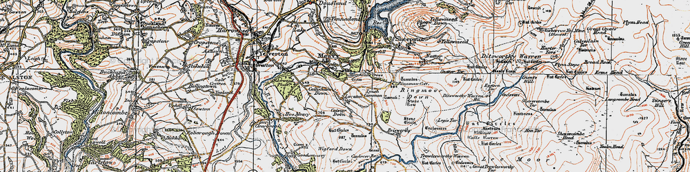 Old map of Brisworthy in 1919