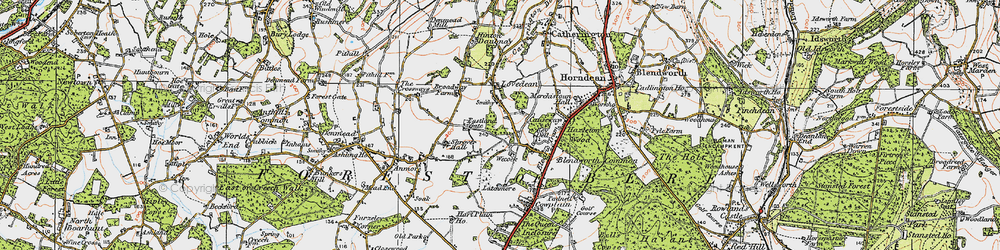 Old map of Lovedean in 1919