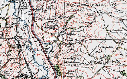 Old map of Bradley Ings in 1925