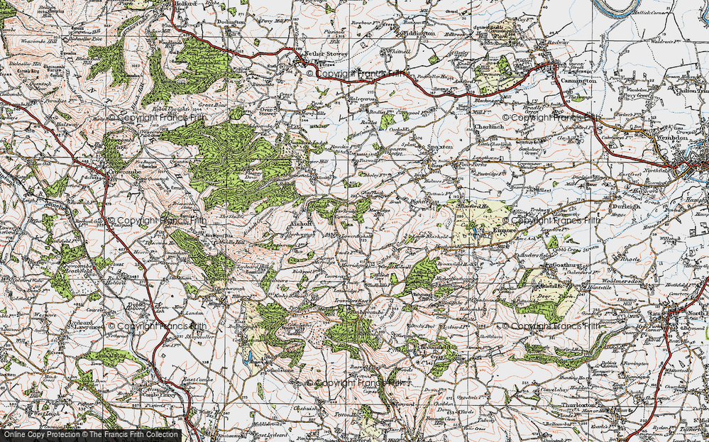 Old Map of Lower Aisholt, 1919 in 1919
