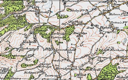 Old map of Lower Aisholt in 1919