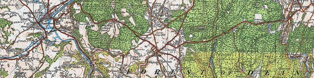 Old map of Lower Berry Hill in 1919