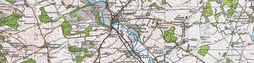 Old map of Lower Blandford St Mary in 1919