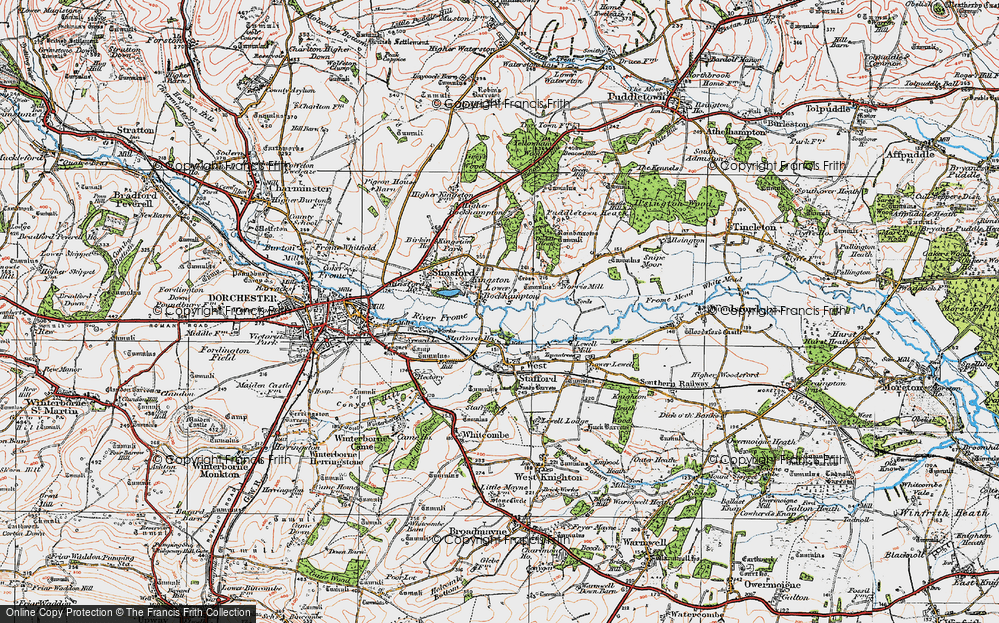 Old Map of Lower Bockhampton, 1919 in 1919