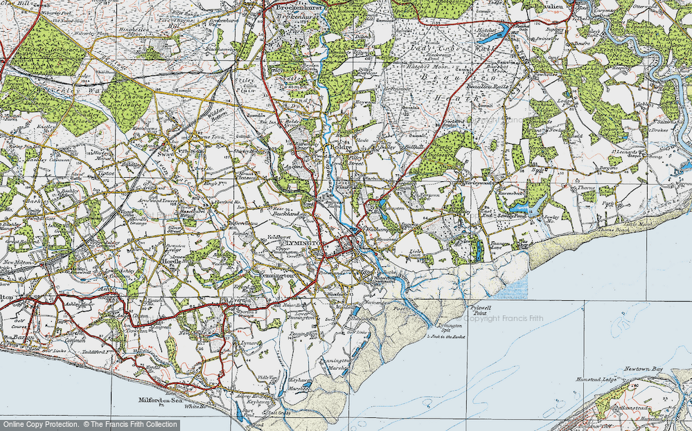 Old Map of Lower Buckland, 1919 in 1919