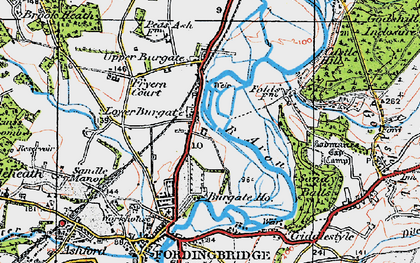 Old map of Lower Burgate in 1919