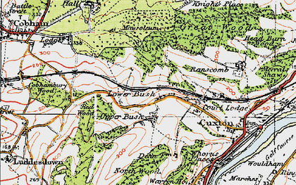 Old map of Lower Bush in 1920