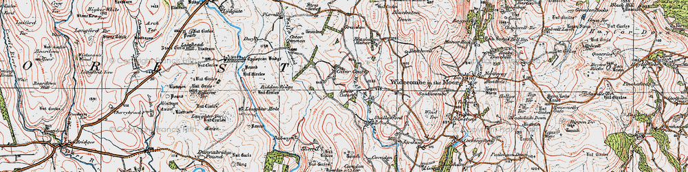 Old map of Lower Cator in 1919