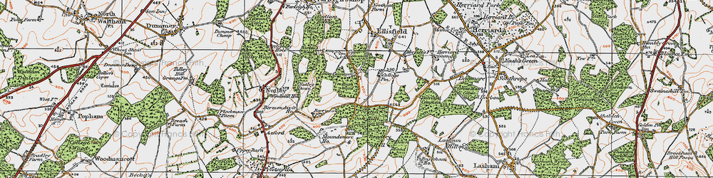 Old map of Lower Common in 1919