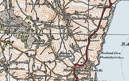 Old map of Lower Gabwell in 1919