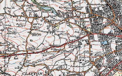 Old map of Lower Grange in 1925