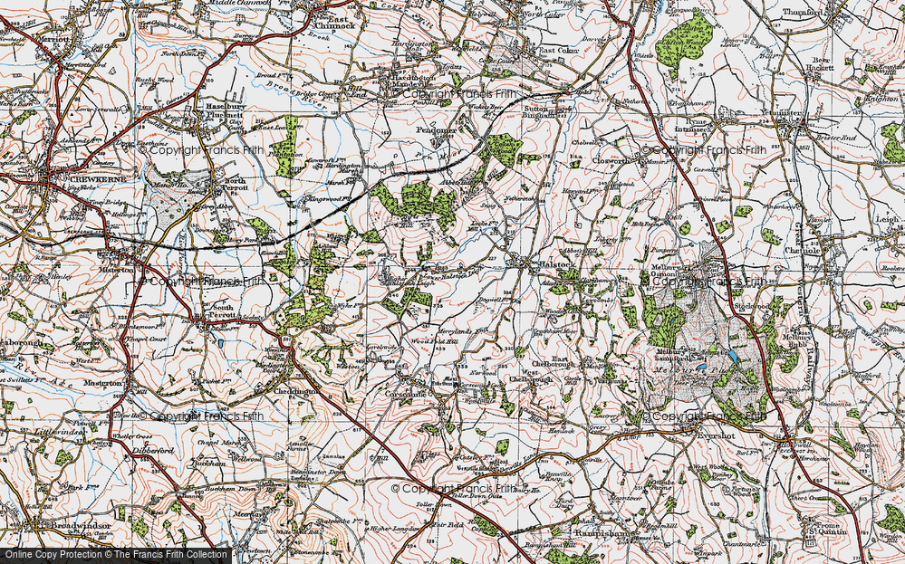 Old Map of Lower Halstock Leigh, 1919 in 1919