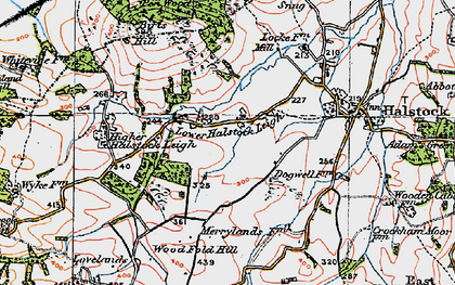 Old map of Lower Halstock Leigh in 1919
