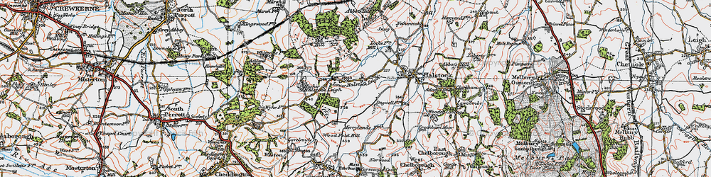 Old map of Lower Halstock Leigh in 1919