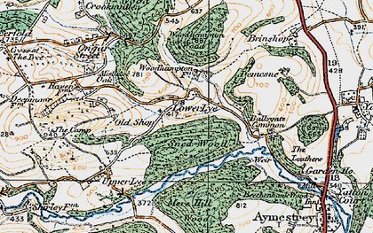 Old map of Woodhampton Wood in 1920
