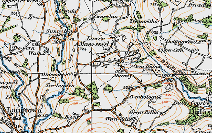 Old map of Lower Maes-coed in 1919