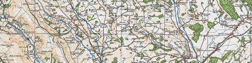 Old map of Lower Maes-coed in 1919