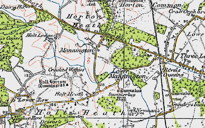 Old map of Lower Mannington in 1919