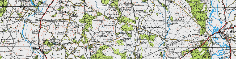 Old map of Lower Mannington in 1919
