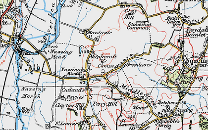 Old map of Lower Nazeing in 1919