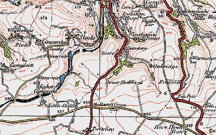 Old map of Lower Slade in 1919