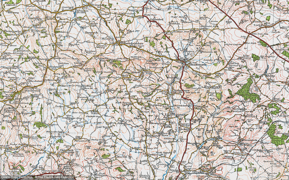 Old Map of Lower Strode, 1919 in 1919