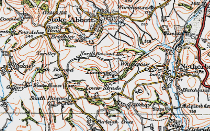 Old map of Lower Strode in 1919