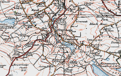 Old map of White Moor in 1925