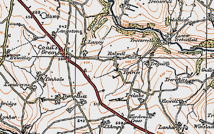 Old map of Lower Trefrize in 1919