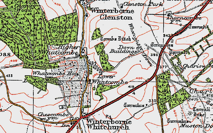 Old map of Whatcombe Down in 1919