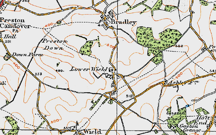 Old map of Lower Wield in 1919