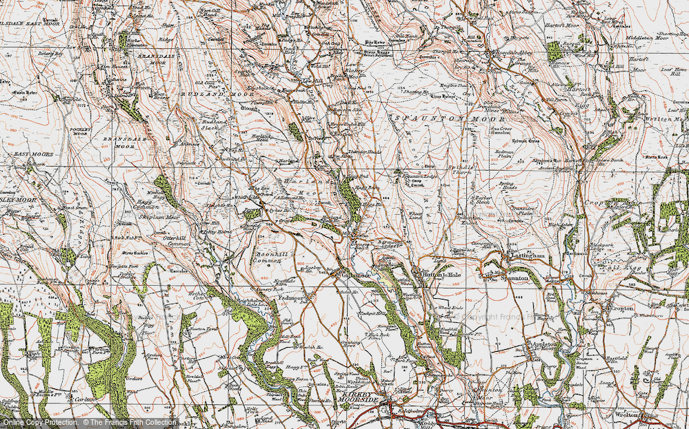 Old Map of Historic Map covering Birch Hagg Plantn in 1925